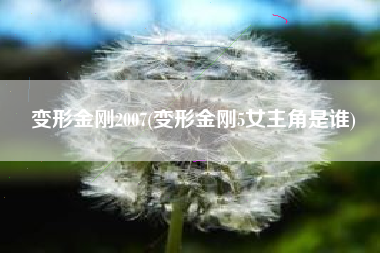 变形金刚2007(变形金刚5女主角是谁)