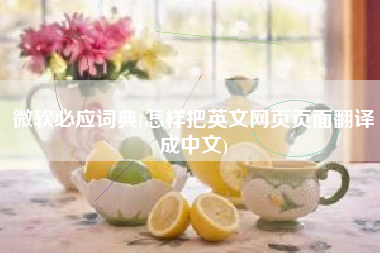 微软必应词典(怎样把英文网页页面翻译成中文)