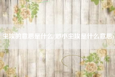 尘埃的意思是什么(渺小尘埃是什么意思)