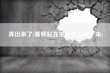 弄出来了(蚕卵粘在纸上怎么取下来)