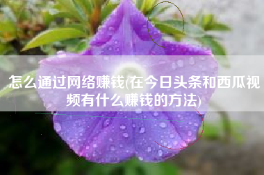 怎么通过网络赚钱(在今日头条和西瓜视频有什么赚钱的方法)