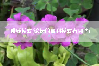赚钱模式(论坛的盈利模式有哪些)
