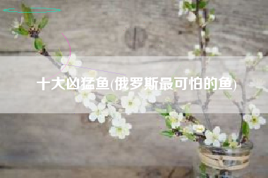 详细阅读:十大凶猛鱼(俄罗斯最可怕的鱼) 十大凶猛鱼(俄罗斯最可怕的鱼)