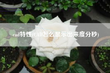 cad特性(CAD怎么显示出来度分秒)