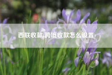 西联收款(跨境收款怎么设置)
