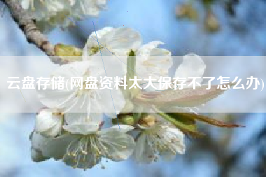 云盘存储(网盘资料太大保存不了怎么办)