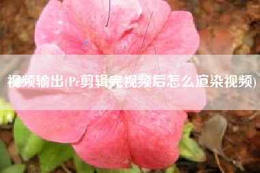 视频输出(Pr剪辑完视频后怎么渲染视频)