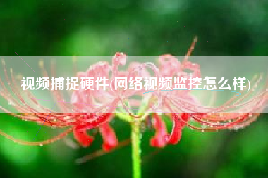 视频捕捉硬件(网络视频监控怎么样)