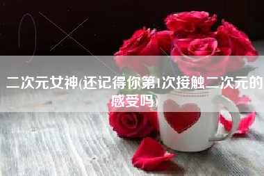 二次元女神(还记得你第1次接触二次元的感受吗)