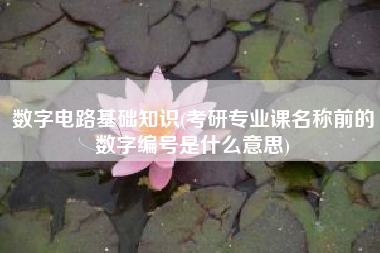 数字电路基础知识(考研专业课名称前的数字编号是什么意思)