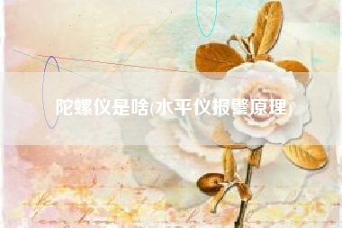 陀螺仪是啥(水平仪报警原理)