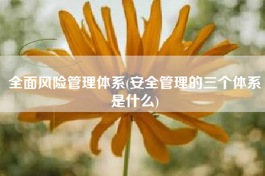 全面风险管理体系(安全管理的三个体系是什么)