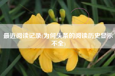 最近阅读记录(为何头条的阅读历史显示不全)
