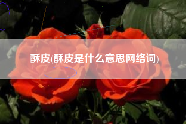 酥皮(酥皮是什么意思网络词)