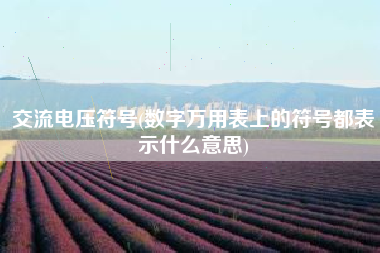 交流电压符号(数字万用表上的符号都表示什么意思)
