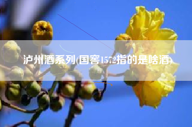 泸州酒系列(国窖1572指的是啥酒)