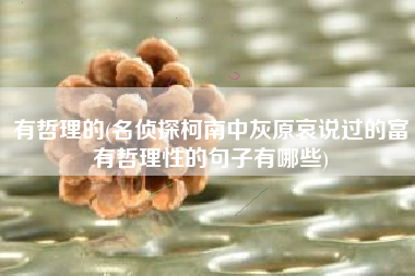 有哲理的(名侦探柯南中灰原哀说过的富有哲理性的句子有哪些)