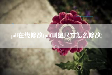 pdf在线修改(pdf测量尺寸怎么修改)