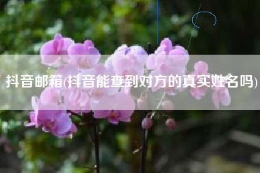 抖音邮箱(抖音能查到对方的真实姓名吗)