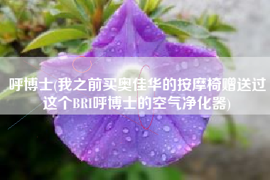 呼博士(我之前买奥佳华的按摩椅赠送过这个BRI呼博士的空气净化器)