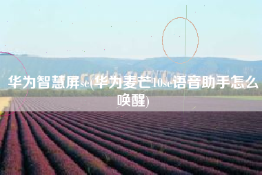 华为智慧屏se(华为麦芒10se语音助手怎么唤醒)