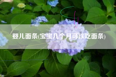 婴儿面条(宝宝几个月可以吃面条)