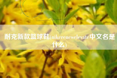 耐克新款篮球鞋(nikerenewelevate中文名是什么)