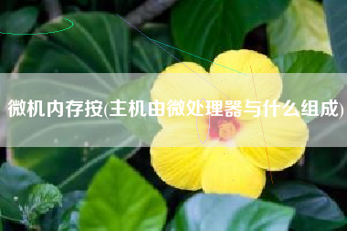 微机内存按(主机由微处理器与什么组成)