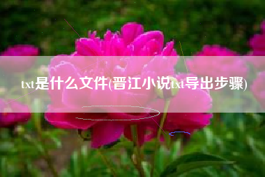 txt是什么文件(晋江小说txt导出步骤)