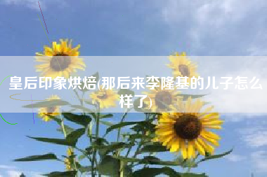 皇后印象烘焙(那后来李隆基的儿子怎么样了)