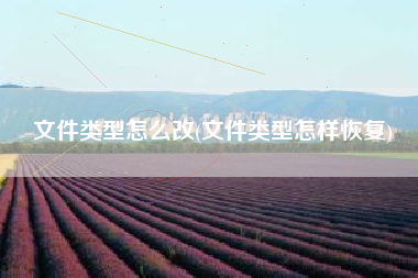 文件类型怎么改(文件类型怎样恢复)