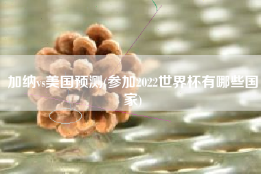 加纳vs美国预测(参加2022世界杯有哪些国家)