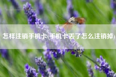 怎样注销手机卡(手机卡丢了怎么注销掉)