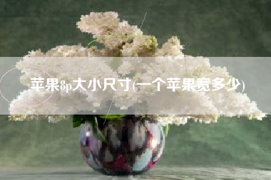 详细阅读:苹果8p大小尺寸(一个苹果宽多少) 苹果8p大小尺寸(一个苹果宽多少)