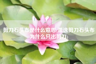 剪刀石头布是什么意思(萧逸剪刀石头布为什么只出剪刀)