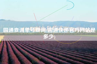 圆通查询单号查询(圆通快递官方网站是多少)