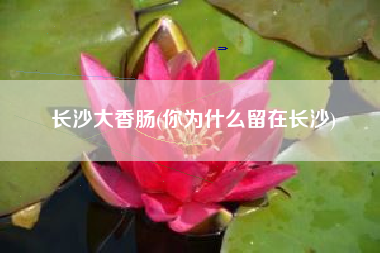长沙大香肠(你为什么留在长沙)