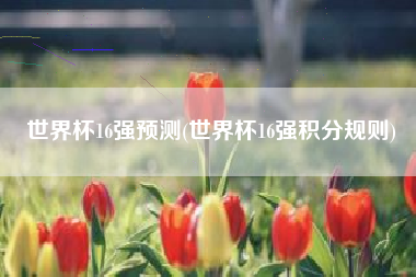 世界杯16强预测(世界杯16强积分规则)