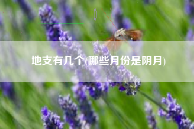 地支有几个(哪些月份是阴月)