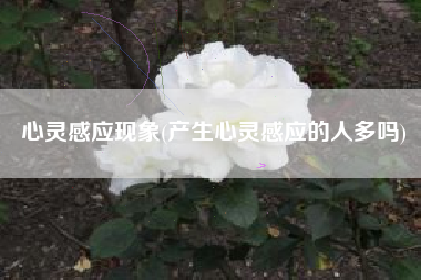 心灵感应现象(产生心灵感应的人多吗)