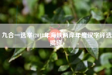 九合一选举(2018年海峡两岸年度汉字评选揭晓)