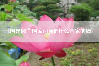 k国是哪个国家(k100是什么国家的钱)