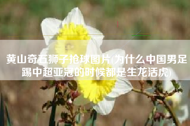 黄山奇石狮子抢球图片(为什么中国男足踢中超亚冠的时候都是生龙活虎)