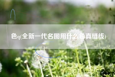 色q(全新一代名图用什么色真缝线)