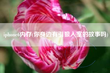 iphone6内存(你身边有引狼入室的故事吗)
