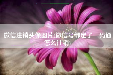 微信注销头像图片(微信号绑定了一码通怎么注销)