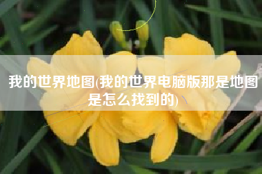 我的世界地图(我的世界电脑版那是地图是怎么找到的)