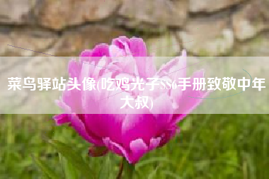 菜鸟驿站头像(吃鸡光子SS6手册致敬中年大叔)