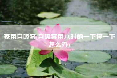 家用自吸泵(自吸泵用水时响一下停一下怎么办)