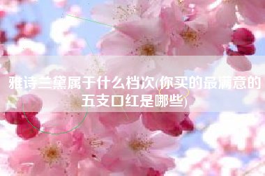 雅诗兰黛属于什么档次(你买的最满意的五支口红是哪些)